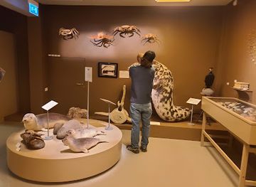 iceland/husavik/landmark/safnahusio-a-husavik-husavik-museum