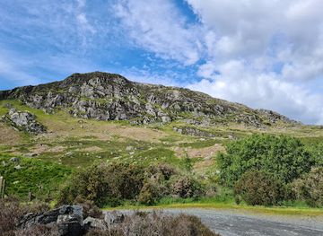 united-kingdom/wigtownshire/attraction/wild-goat-park-2