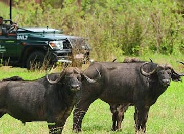 zambia/zambezi-basin/landmark/zambezi-national-park