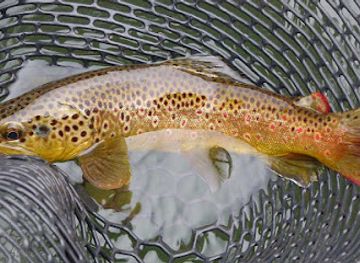 north-carolina/boone/landmark/elk-creek-outfitters