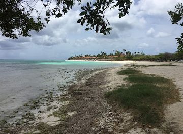 aruba/oranjestad/landmark/druif-beach