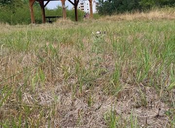 germany/saarland/landmark/primsmundung