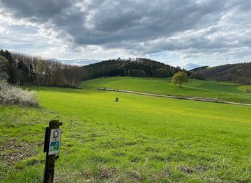 germany/eifel-national-park/landmark/weyrer-wald-und-hahnenberg