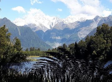 new-zealand/fox-glacier/landmark/minnehaha-walk