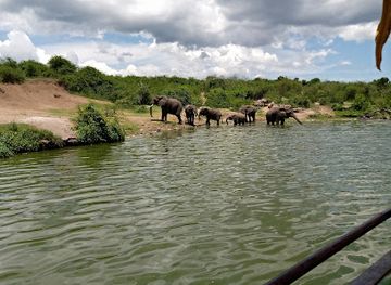 uganda/queen-elizabeth-national-park/landmark/queen-elizabeth-national-park-safari