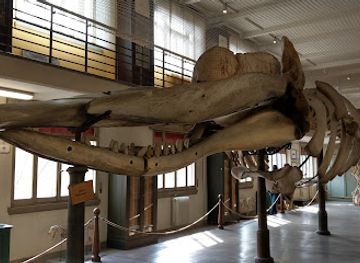 italy/bologna/landmark/collezione-di-antropologia