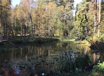 poland/masurian-lake-district/landmark/forest-arboretum-of-warmia-i-mazur
