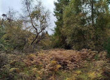 united-kingdom/midlothian/landmark/maiden-castle