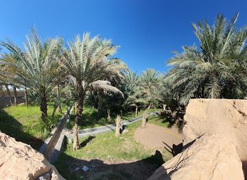 united-arab-emirates/liwa-oasis/landmark/al-ain-oasis