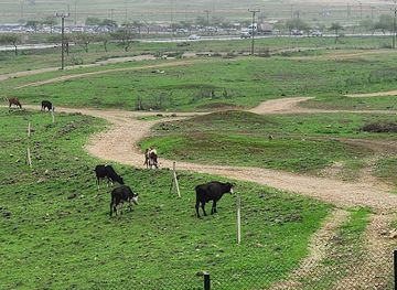 oman/dhofar-region/landmark/mat-hamrir-al-sayahi
