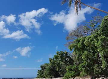 tonga/ha-apai-islands/landmark/eua