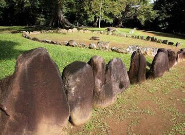 puerto-rico/west-region/landmark/old-world-order-megalithic-bateyes-taino-caguana-barrio-utuado-puerto-rico-usa
