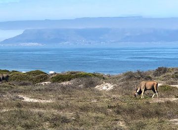south-africa/west-coast-national-park/landmark/koeberg-nature-reserve