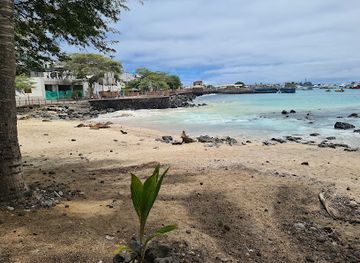 ecuador/puerto-baquerizo-moreno/landmark/cri-s-burgers
