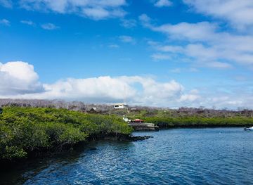 ecuador/galapagos-islands/landmark/santa-cruz-to-baltra-ferry-terminal