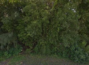 florida/miami/landmark/geoglyph