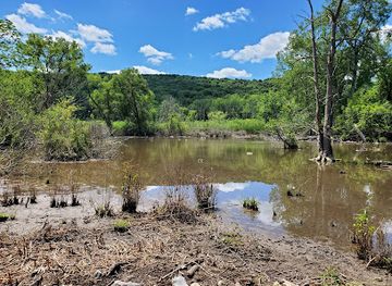 new-york/syracuse/landmark/rand-tract-park