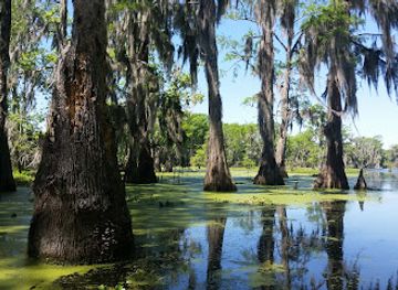 louisiana/acadiana/landmark/cypress-island-preserve