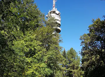 Azáleás völgy
