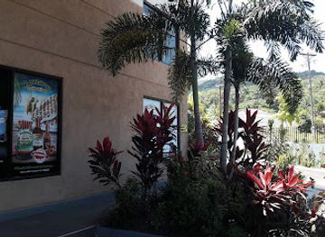 jamaica/ocho-rios/landmark/landmark-plaza