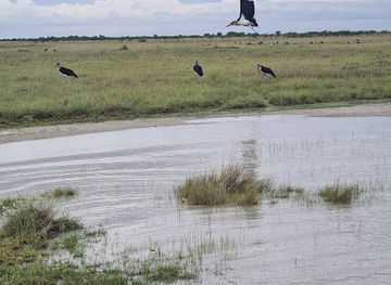 botswana/central-district/landmark/nata-bird-sanctuary