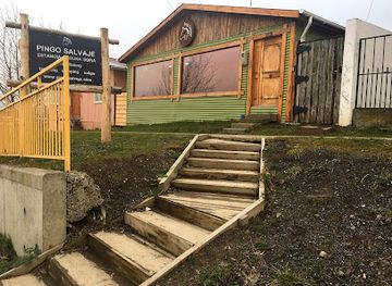 chile/puerto-natales/landmark/pingo-salvaje