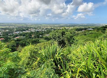 barbados/cherry-tree-hill/landmark/gun-hill-signal-station