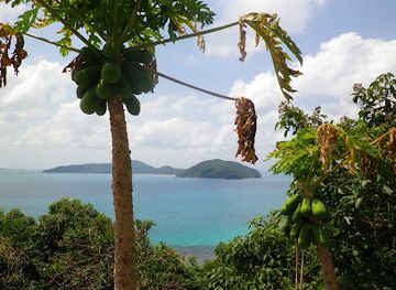 thailand/samui-archipelago/landmark/royal-samui-golf