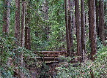 california/redwood-national-and-state-parks/landmark/bear-creek-redwoods-open-space-preserve