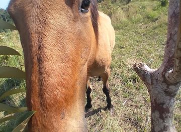 guatemala/guatemala-city/landmark/el-picudo-izabal