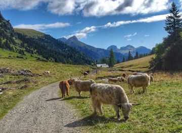 italy/val-di-fassa/landmark/val-duron