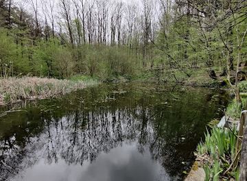 belgium/zenne-valley/landmark/hallerbos