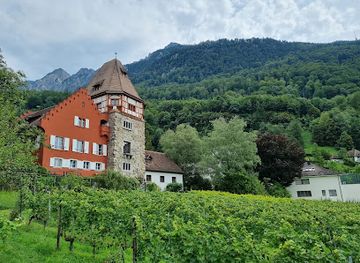 liechtenstein/ruggell/landmark/red-house-vaduz