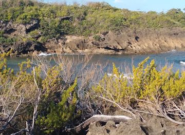 puerto-rico/manati/landmark/playa-las-golondrinas