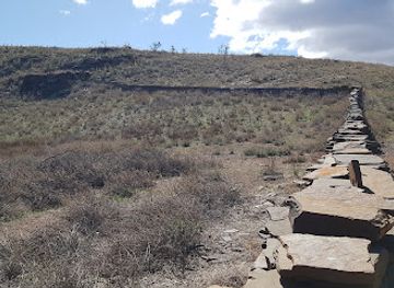 australia/flinders-ranges/landmark/wills-historic-homestead
