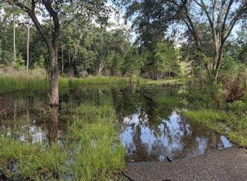 florida/suwannee-river/landmark/big-shoals-state-forest