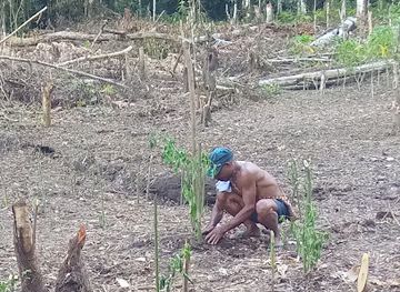 indonesia/south-papua/landmark/gua-lokale