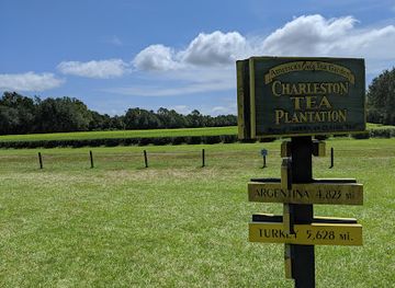 south-carolina/lowcountry/landmark/charleston-tea-garden