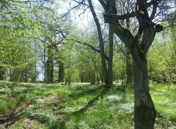 sweden/ostergotland/landmark/notabacken