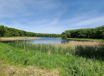 minnesota/lake-of-the-woods/landmark/lake-shetek-state-park