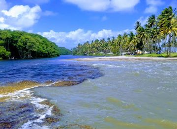 trinidad-and-tobago/mayaro/landmark/nariva-swamp