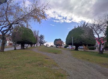 chile/punta-arenas/landmark/arbol-presidencial