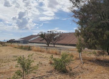 australia/mallee/landmark/murtoa-stick-shed