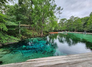 florida/suwannee-river/landmark/fanning-springs-state-park