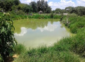 zambia/kafue-flats/landmark/kalimba-reptile-park