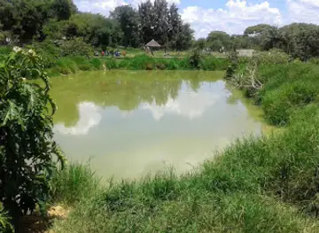 Kalimba Reptile Park