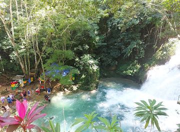 jamaica/cornwall-county/landmark/momo-jamaica-dream-tours