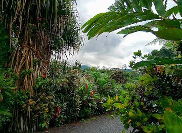 costa-rica/san-carlos/landmark/arenal-vida-campesina