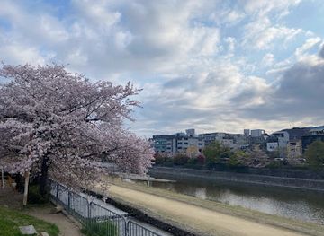 japan/kyoto/landmark/pontocho-park