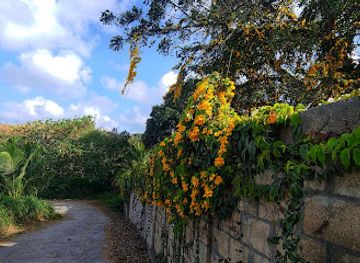 barbados/saint-peter/landmark/st-joseph-hospital